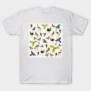 Birds of Paradise. T-Shirt